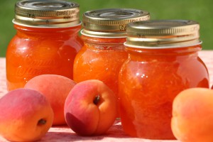 apricot jam jars