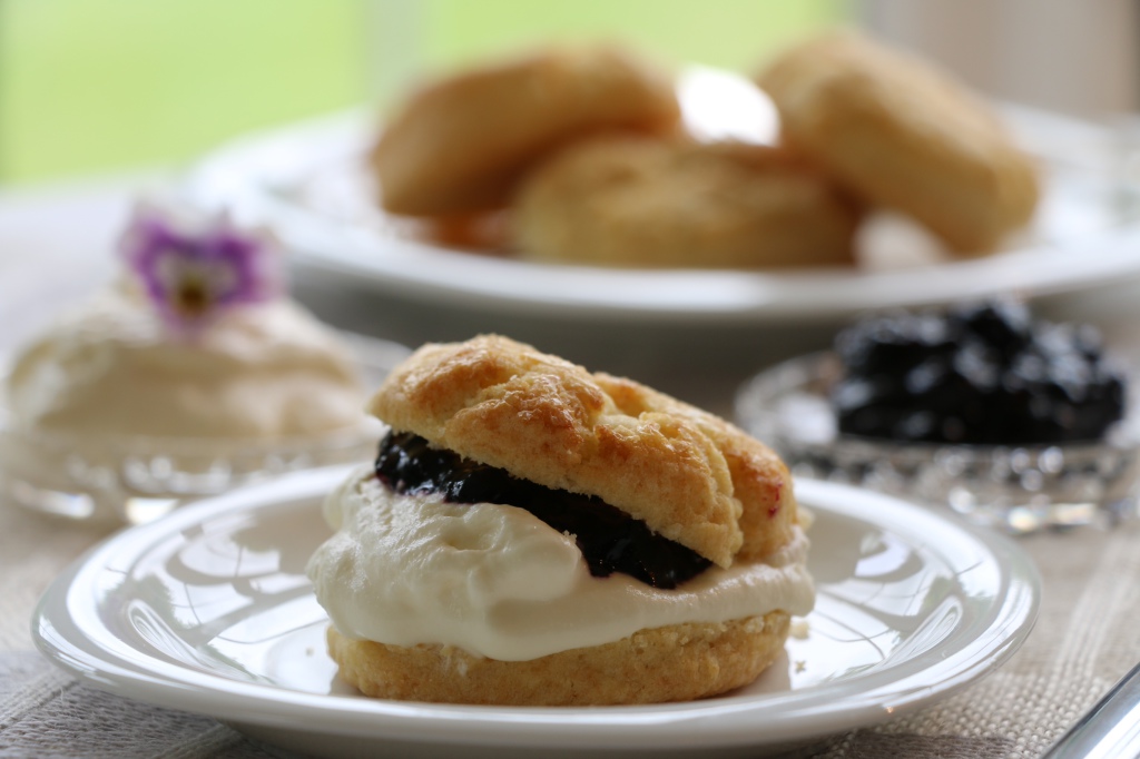 blcakcurrant jam and scone close up