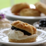 blcakcurrant jam and scone close up