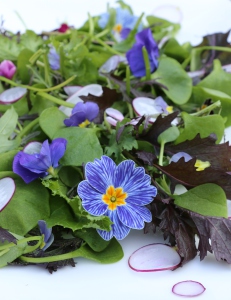 purple floral salad 