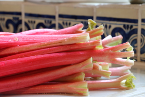 good focus rhubarb at the sink