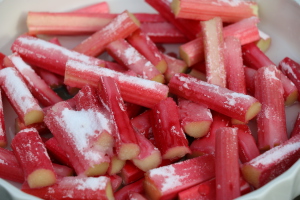 good hor rhubarb cut for poaching