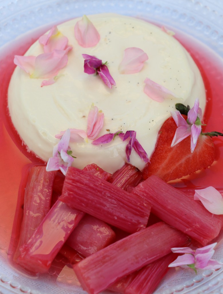 good verticle rhubarb panna cotta