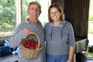 Great Abington Cherry Orchard