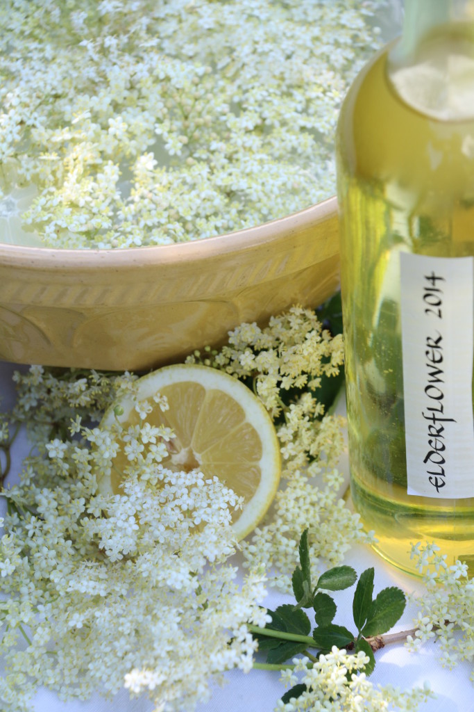 elderflower champagne in the making