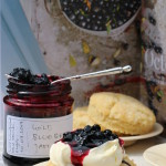 wild blueberry jam