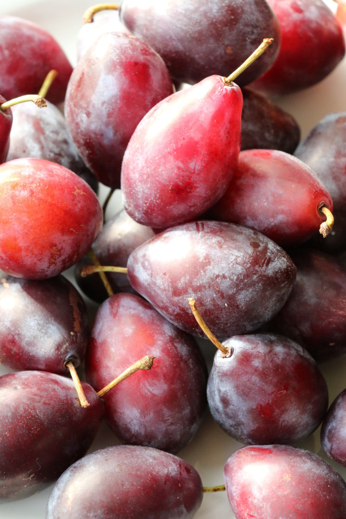 Purple Pershore Plums