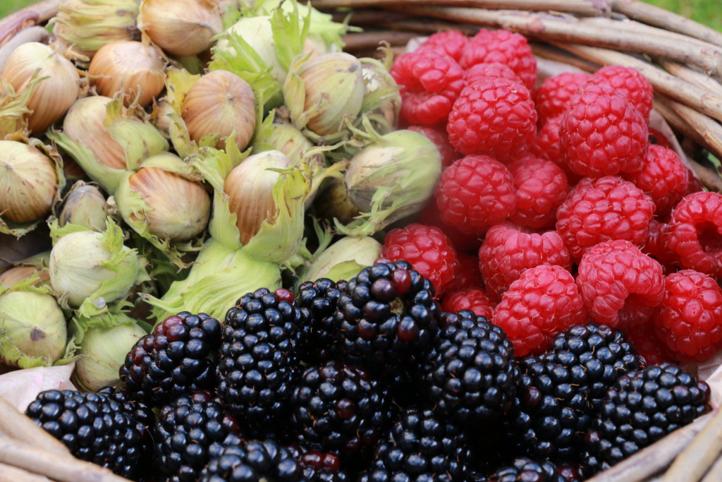 basket berries