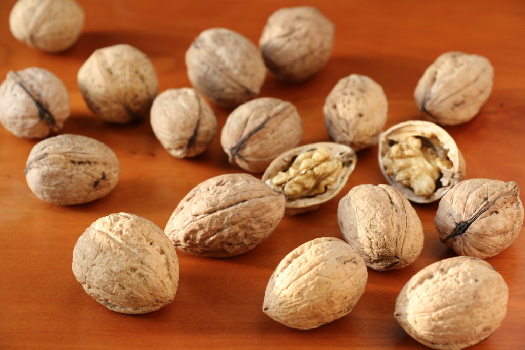 clutch of walnuts