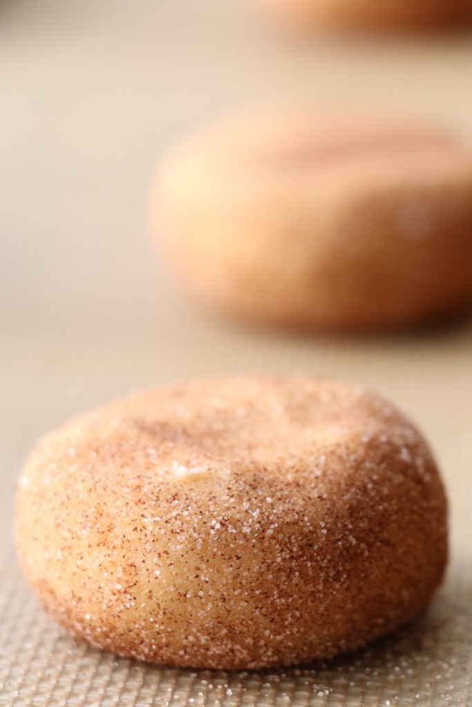 IMG_9327snickerdoodle close up unbaked