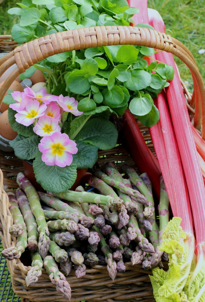 CrumbsontheTable MARCH SHOPPING BASKET CN