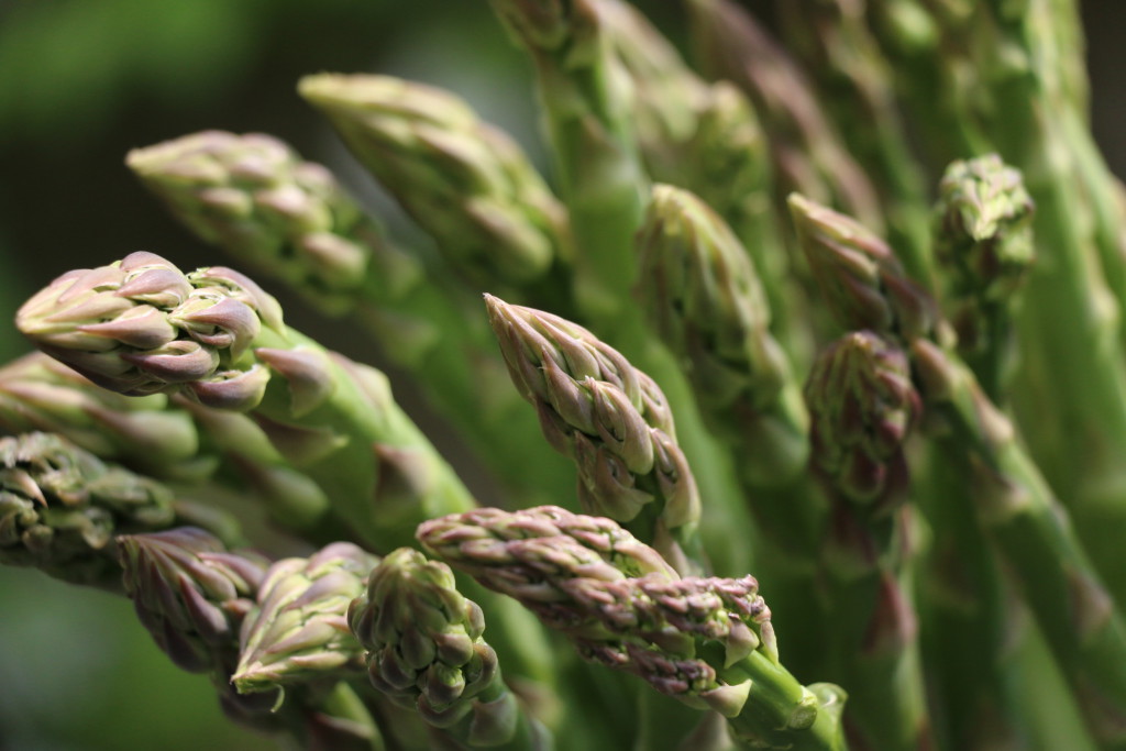 CrumbsontheTableAsparagus CN