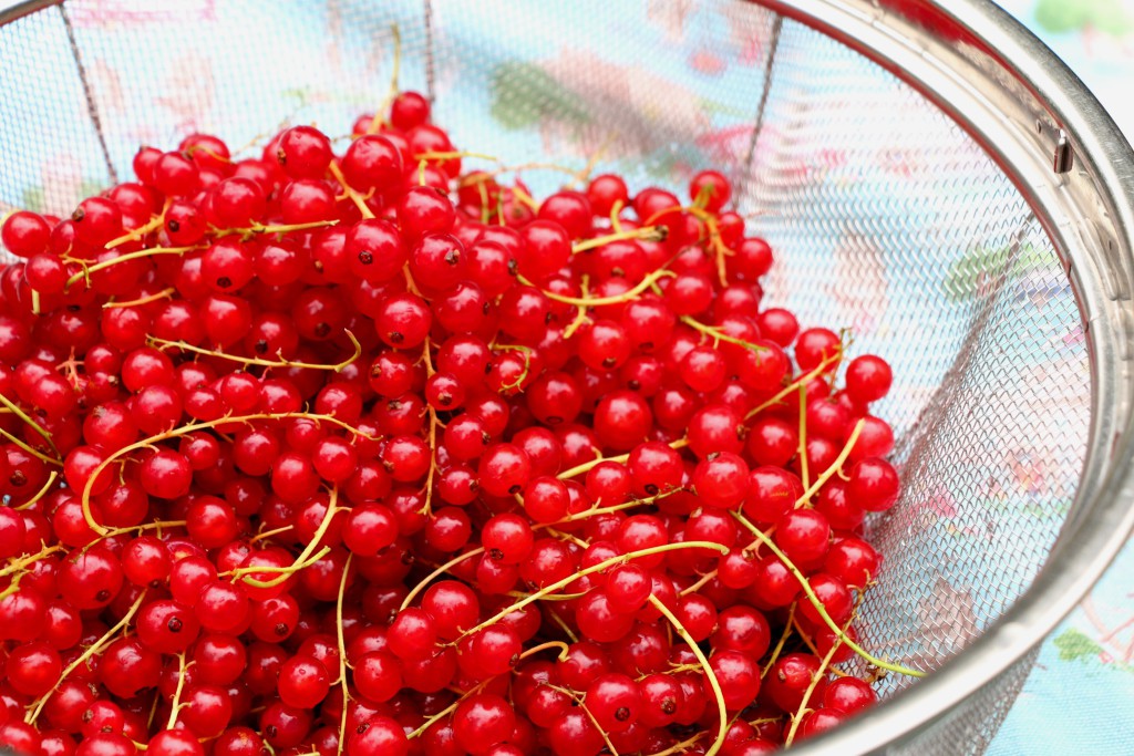 red currants