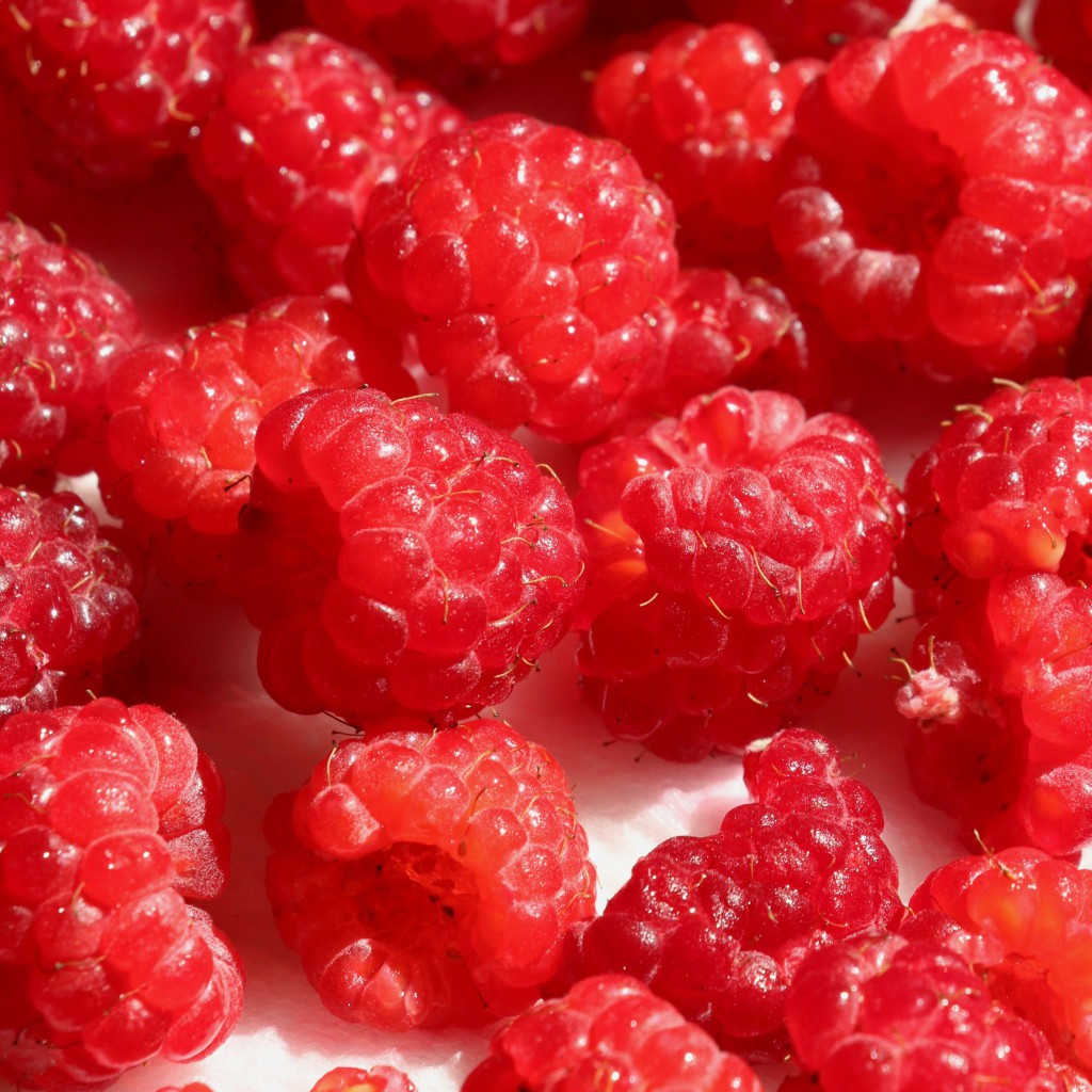 RaspberriesCNsquare