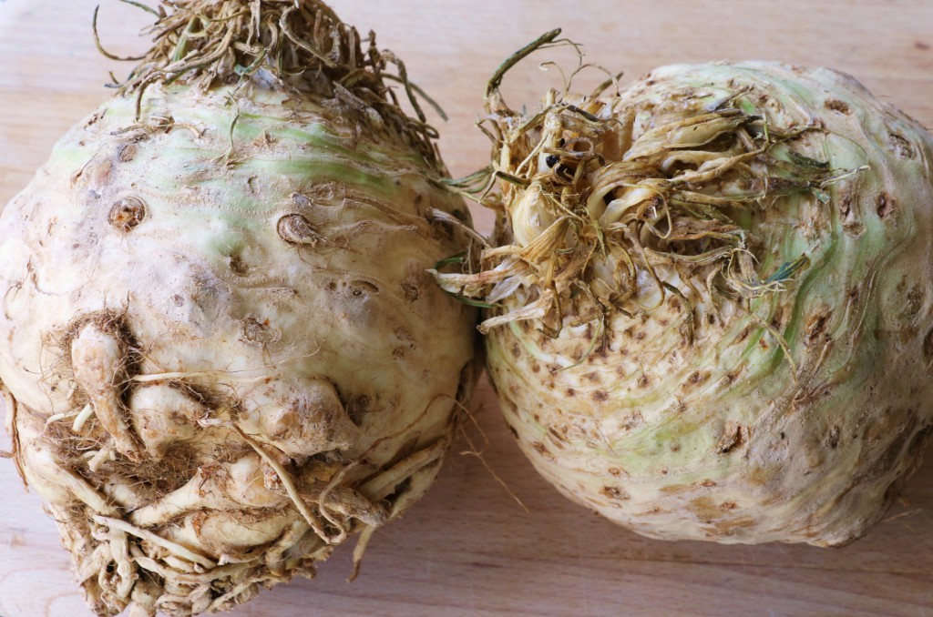 Celery Root or Celeriac